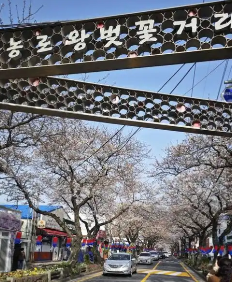 韩国3月份未偿还信用卡贷款余额创历史新高